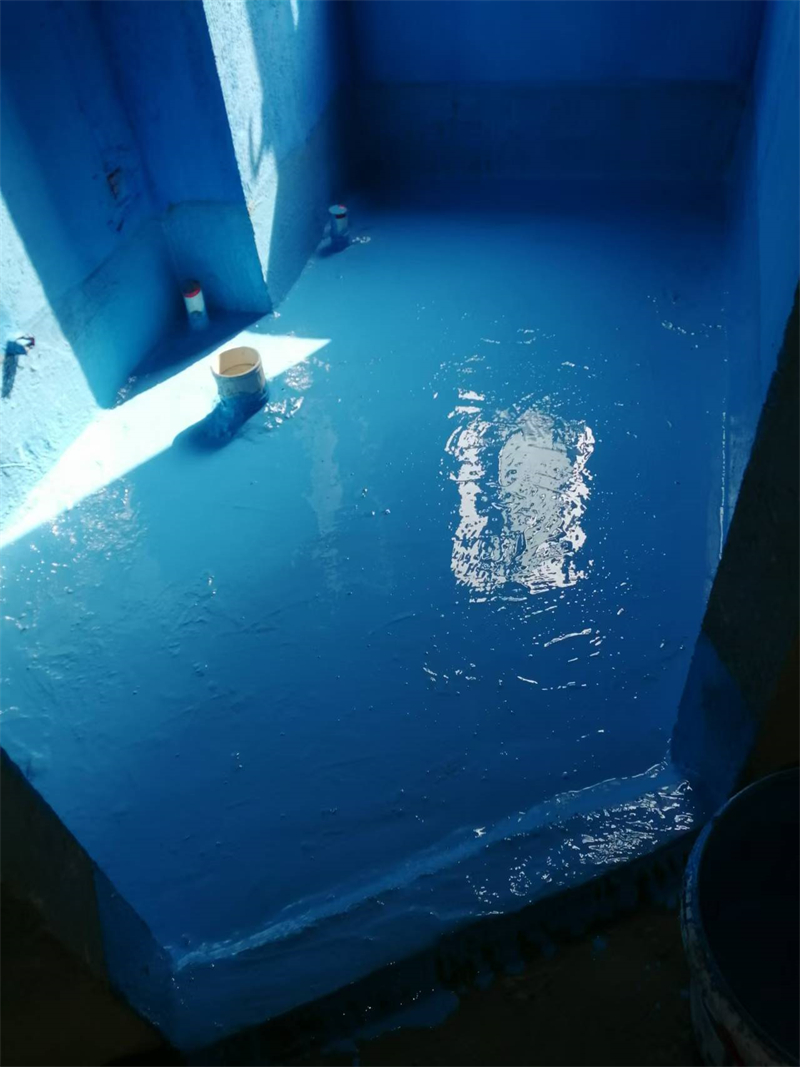 mmexport1731476464896.jpg