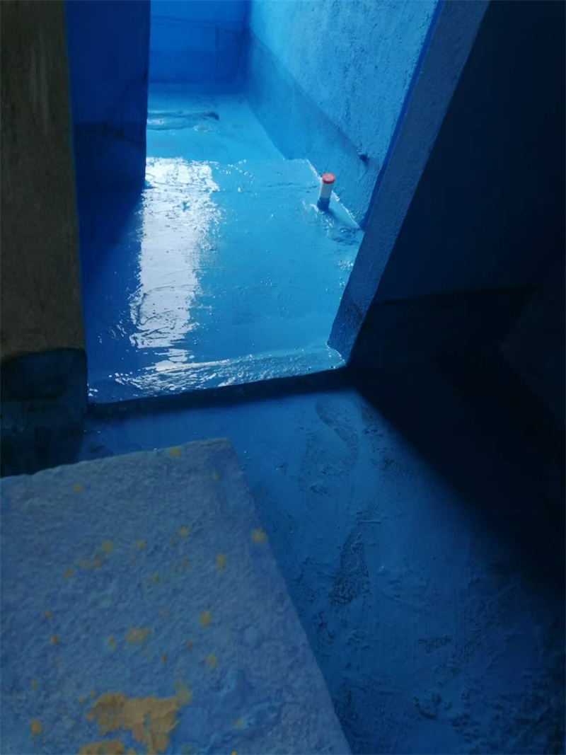 mmexport1731476460599.jpg