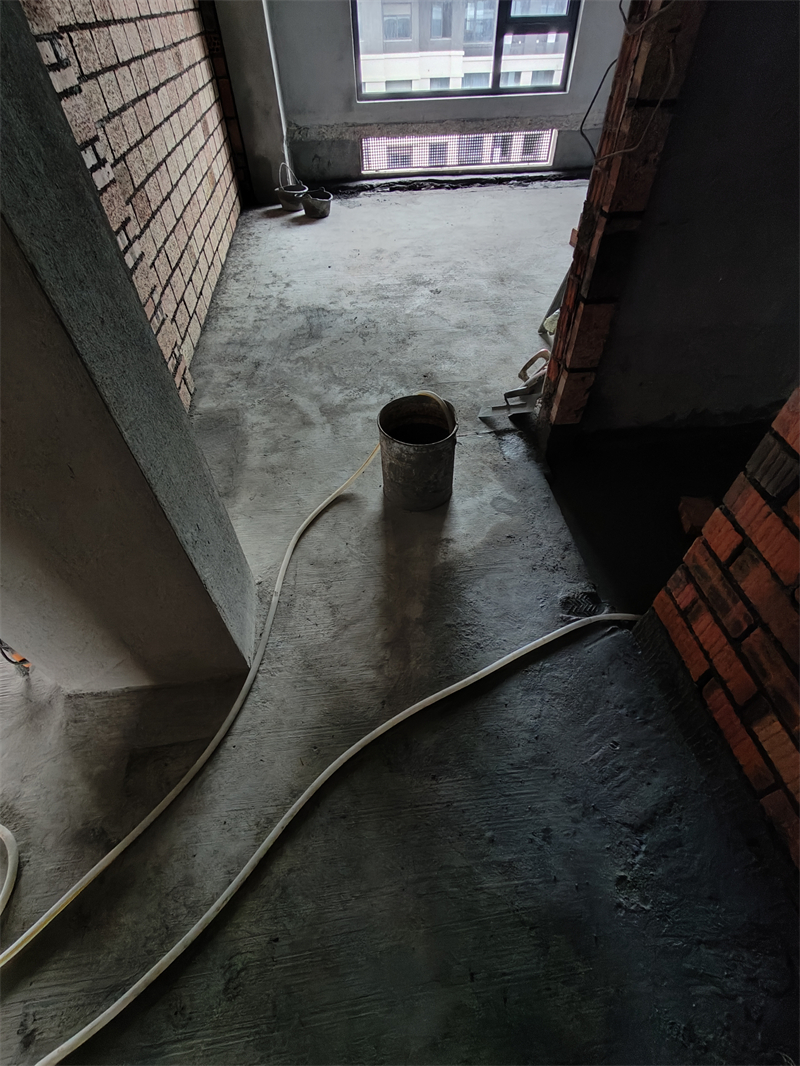 IMG20241114085233.jpg