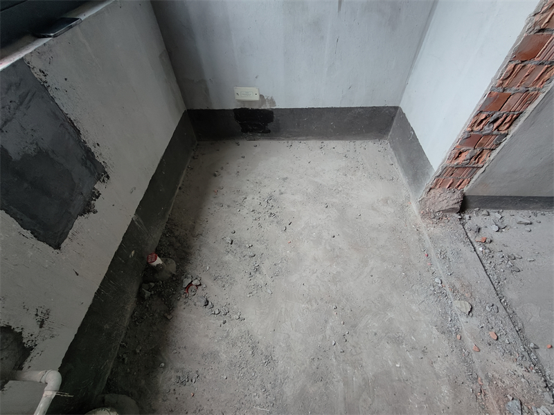 IMG20241114152235.jpg
