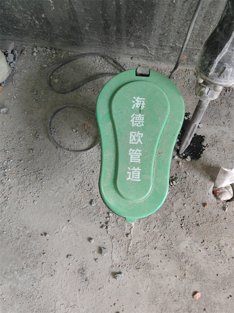IMG20241114152013.jpg