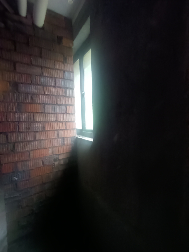 IMG_20241114_090002.jpg