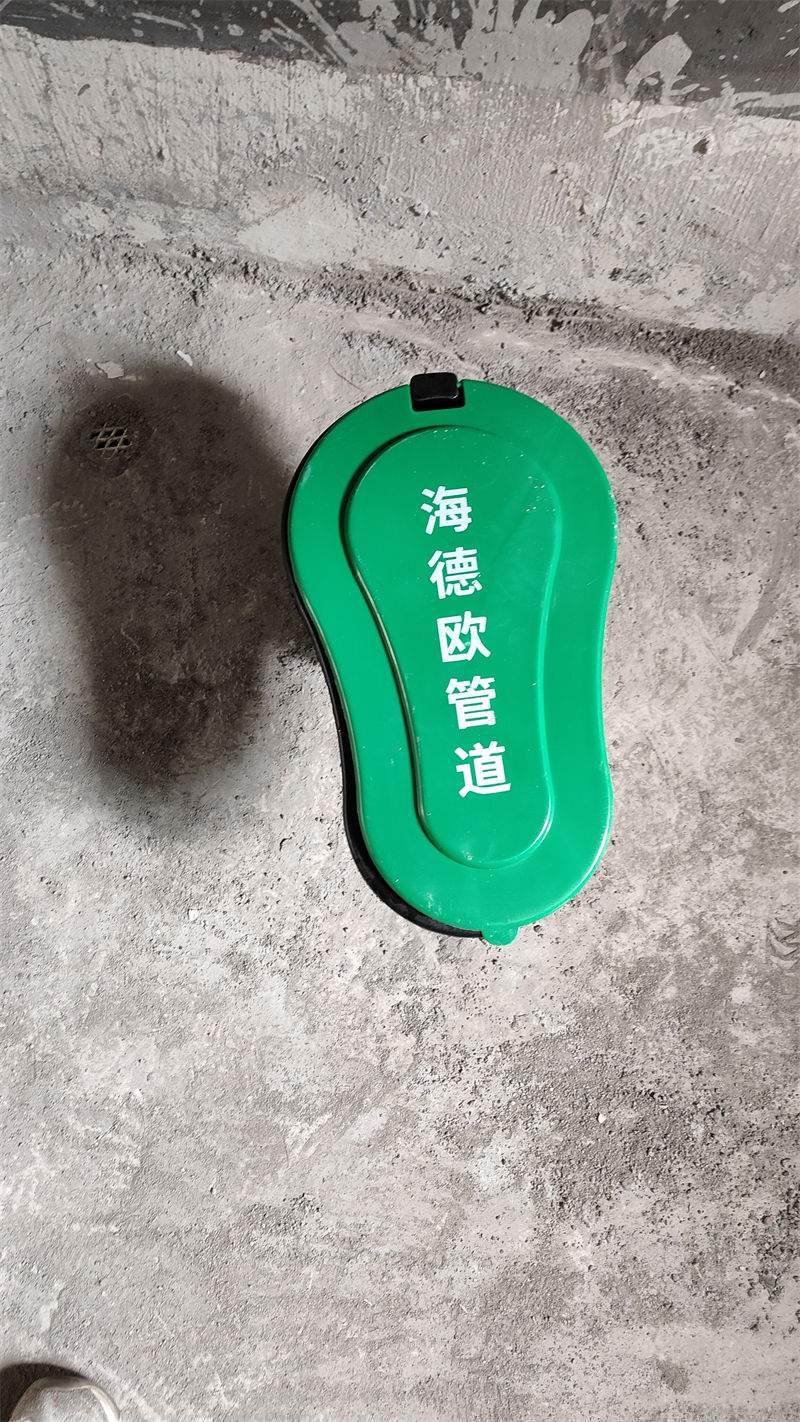 IMG20241117140337.jpg