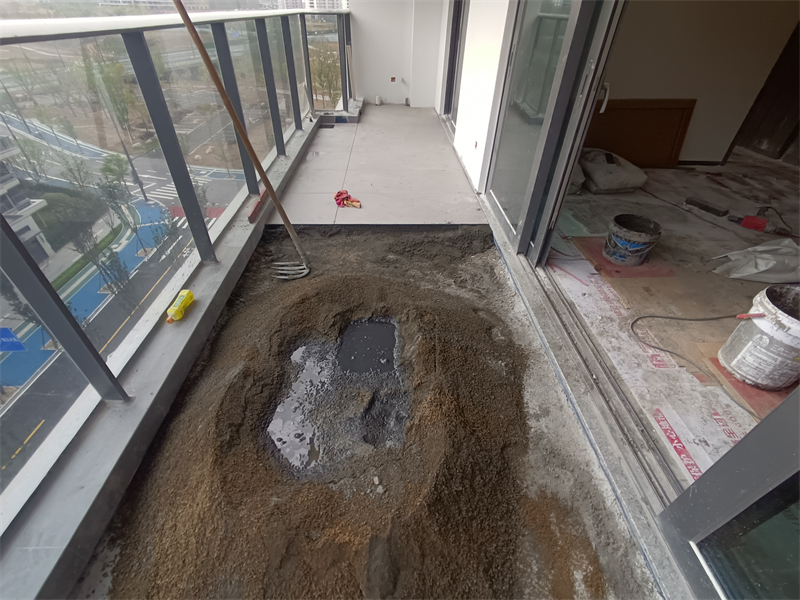 IMG_20241116_141921.jpg