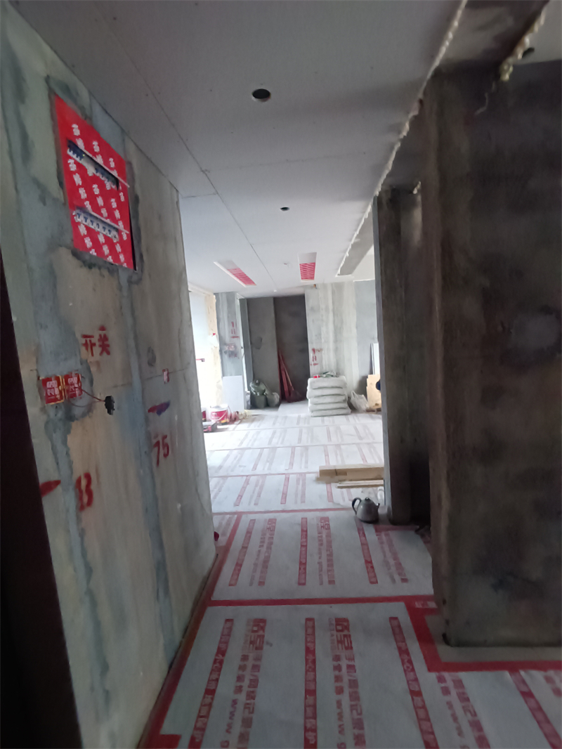 IMG_20241118_085500.jpg