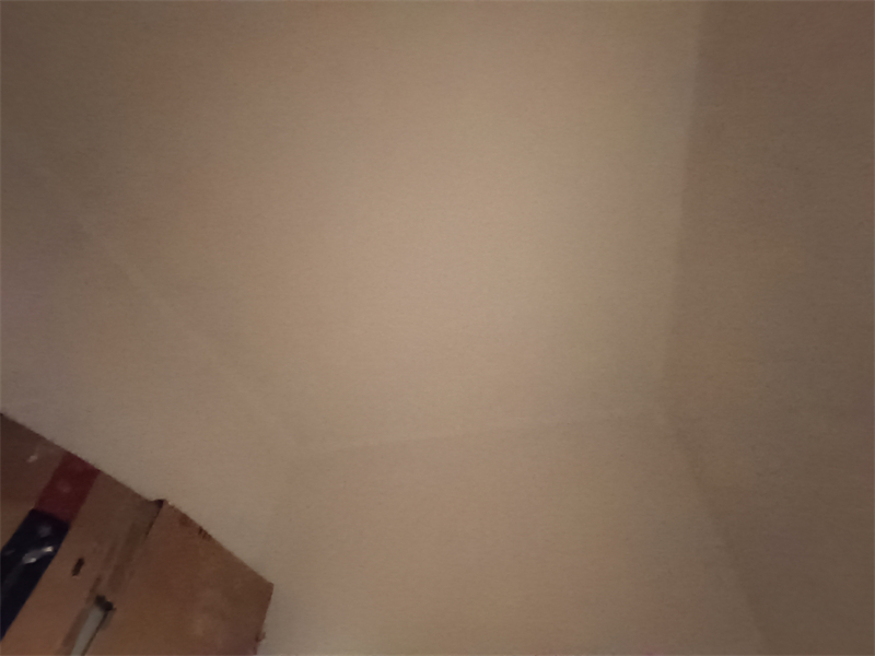 IMG_20241120_094434.jpg