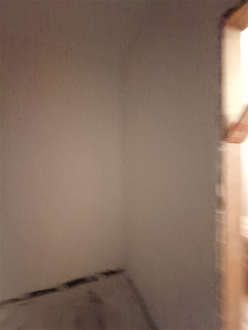 IMG_20241120_094440.jpg