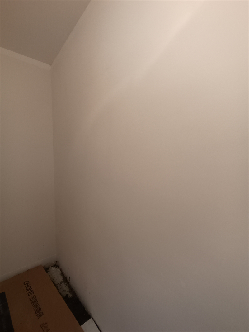 IMG_20241120_094556.jpg