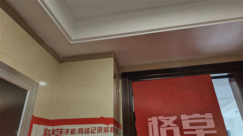 IMG20241119092122.jpg