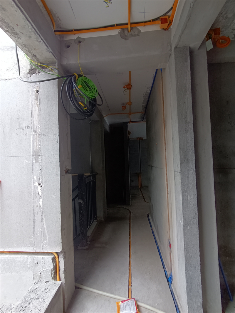 IMG_20241120_120651.jpg