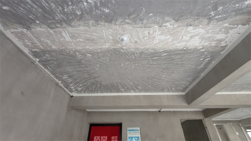 IMG20241120090128.jpg