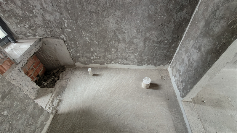 IMG20241120091356.jpg