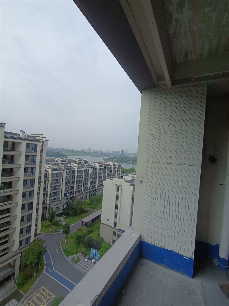 IMG_20241122_090120.jpg