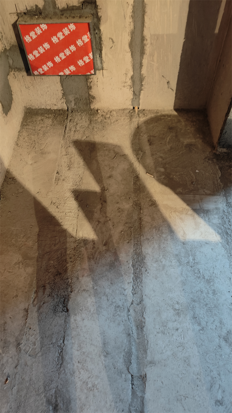 IMG20241121164122.jpg