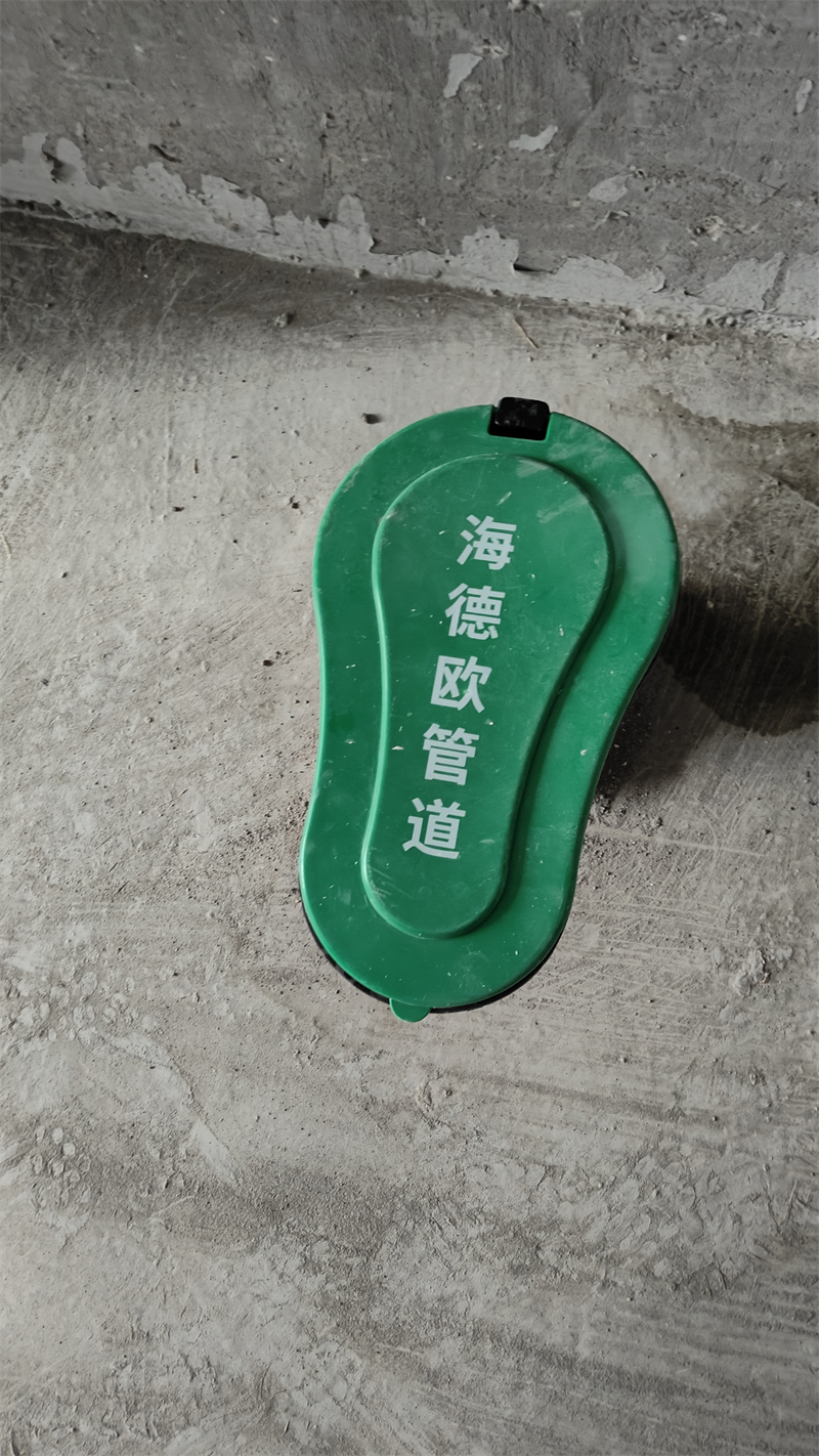 IMG20241124163113.jpg