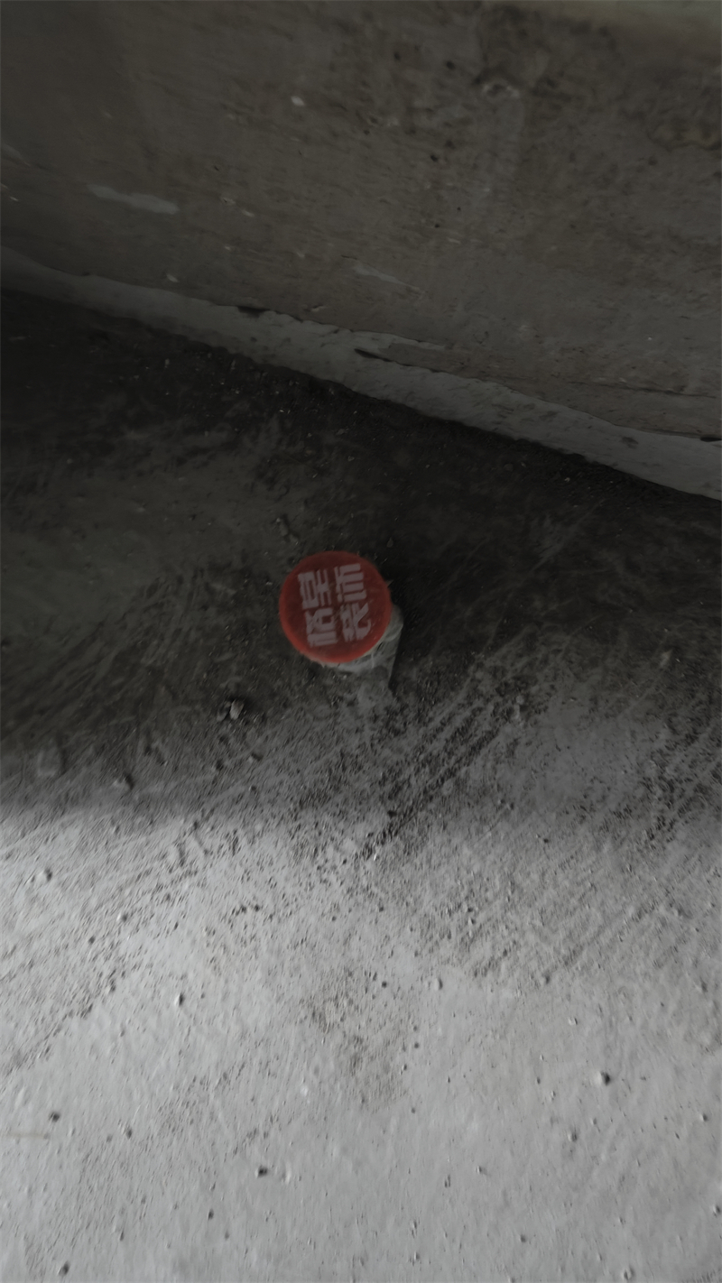 IMG20241124163117.jpg