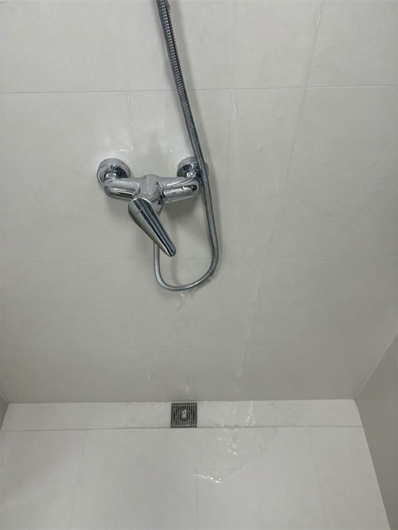 mmexport1732433605231.jpg