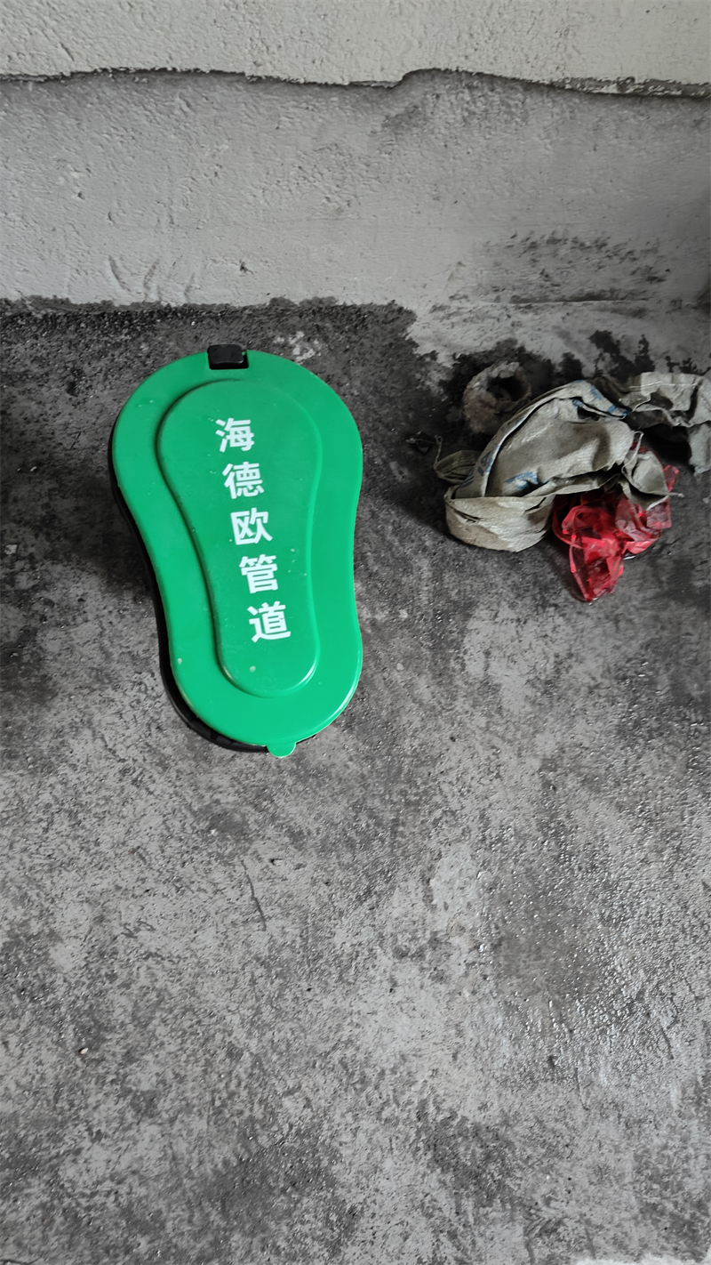 IMG20241126163607.jpg