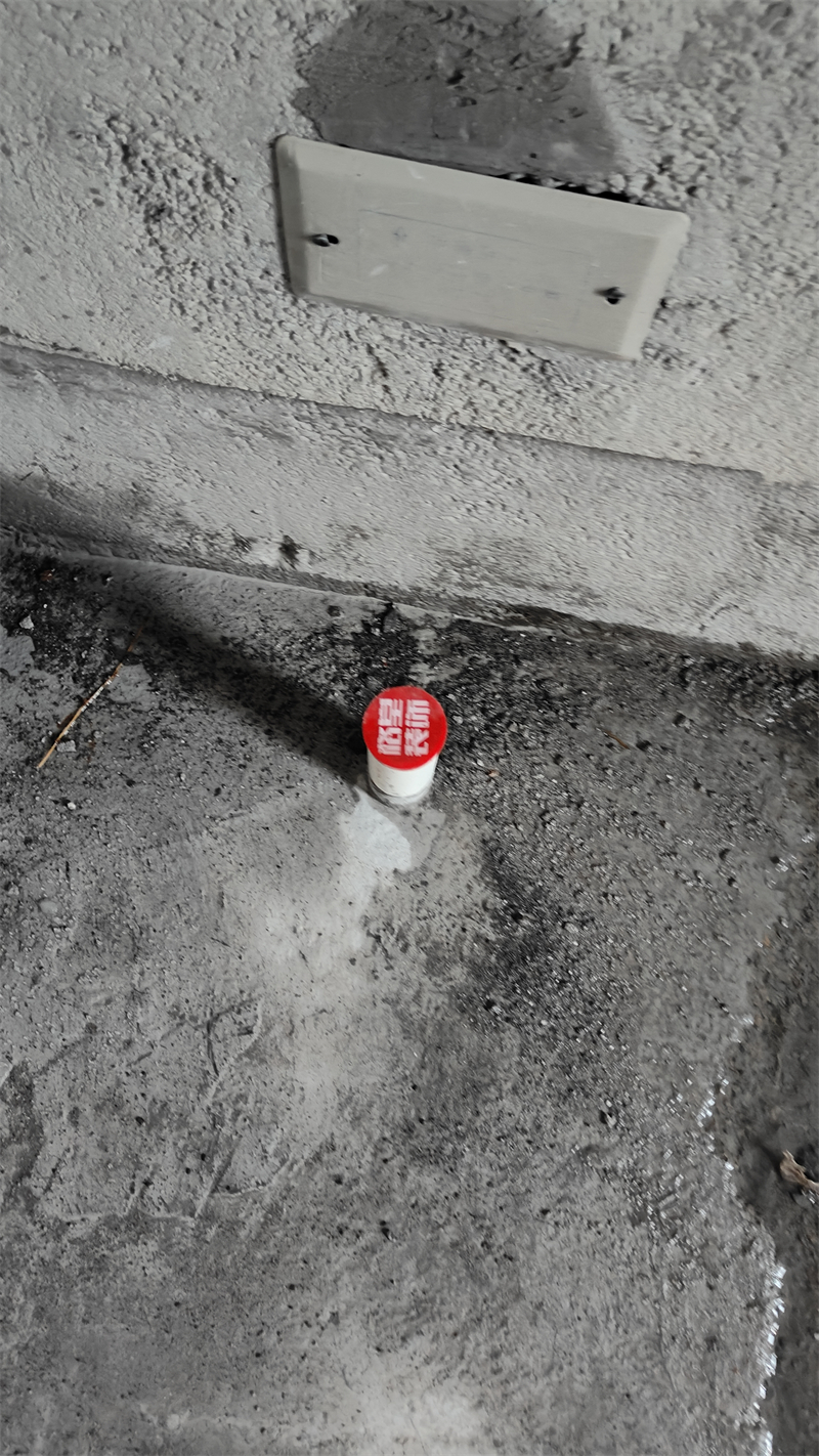 IMG20241126163611.jpg