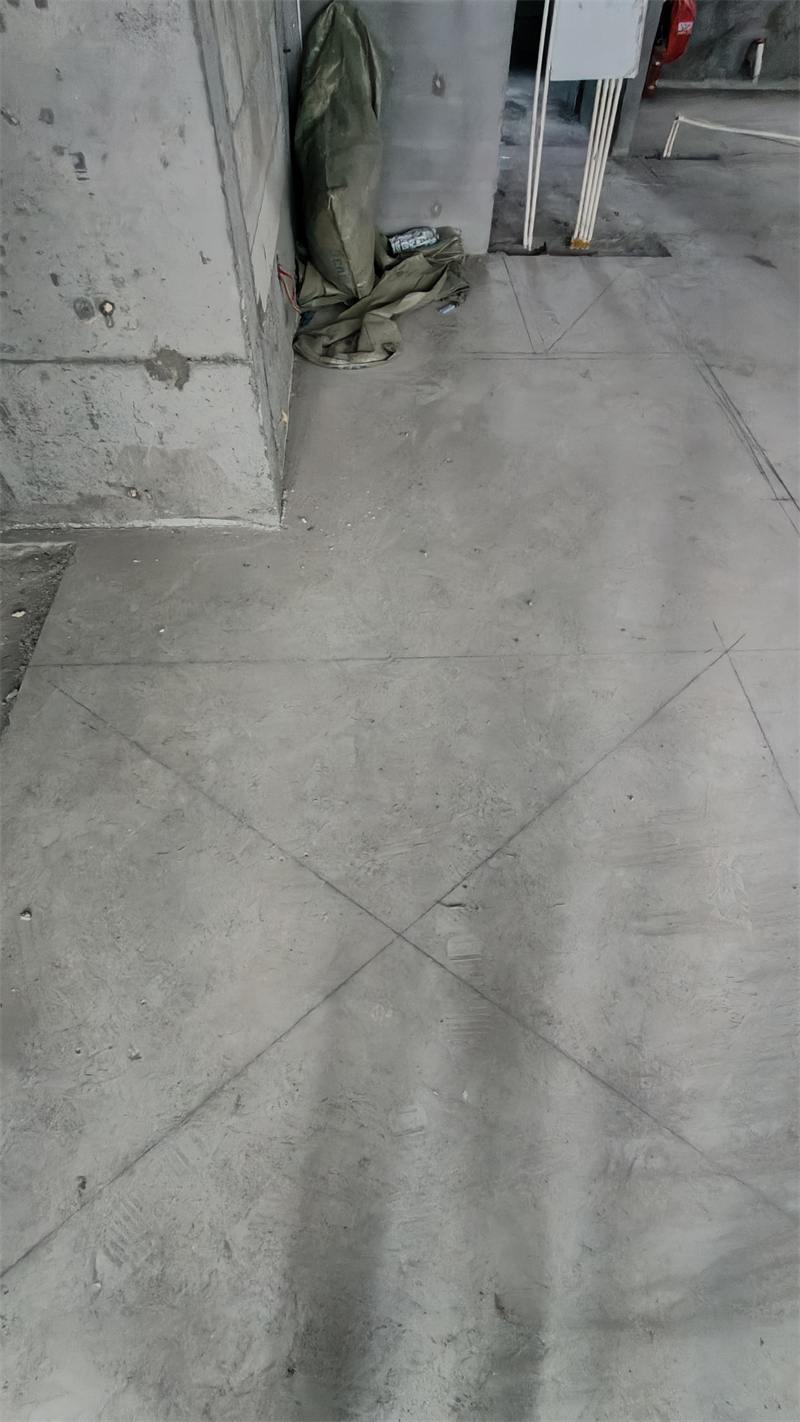 IMG20241126164219.jpg