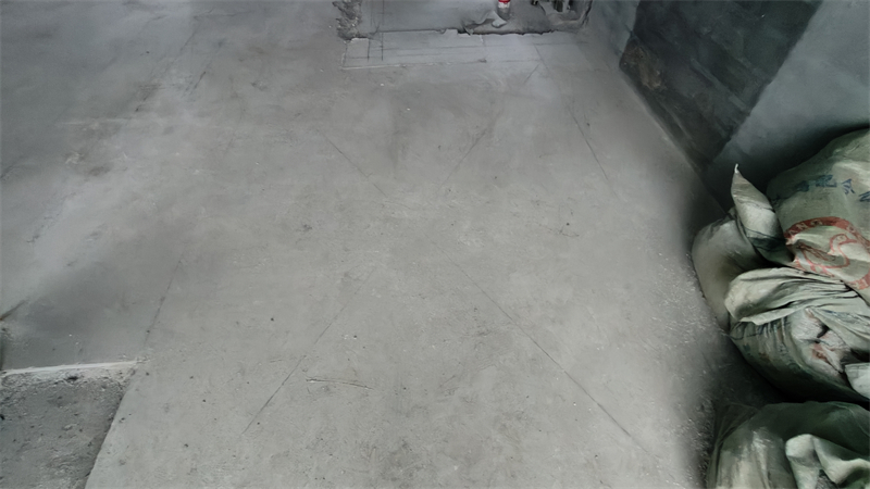 IMG20241126164733.jpg