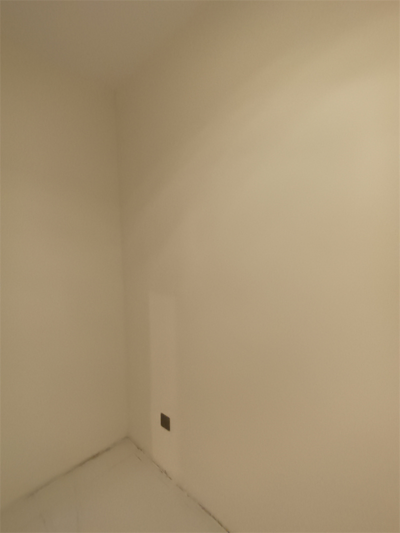 IMG_20241127_091526.jpg