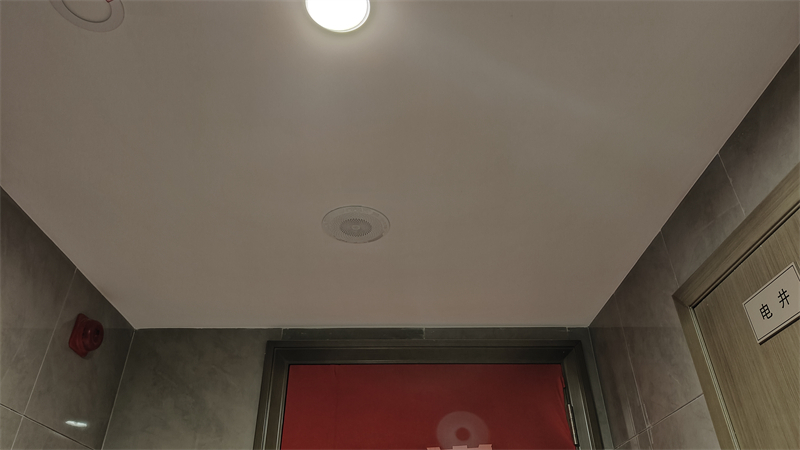 IMG20241122090339.jpg