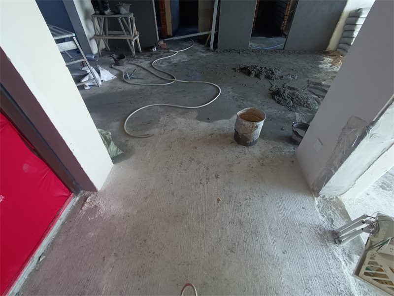 IMG_20241128_105109.jpg