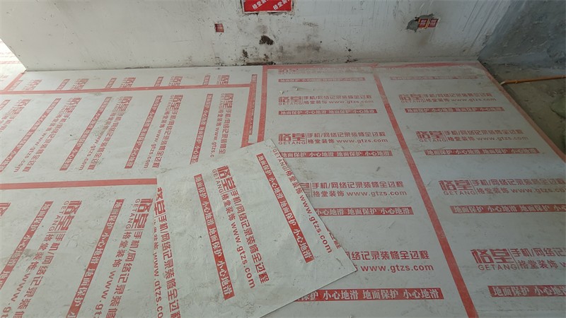 IMG20241129084550.jpg