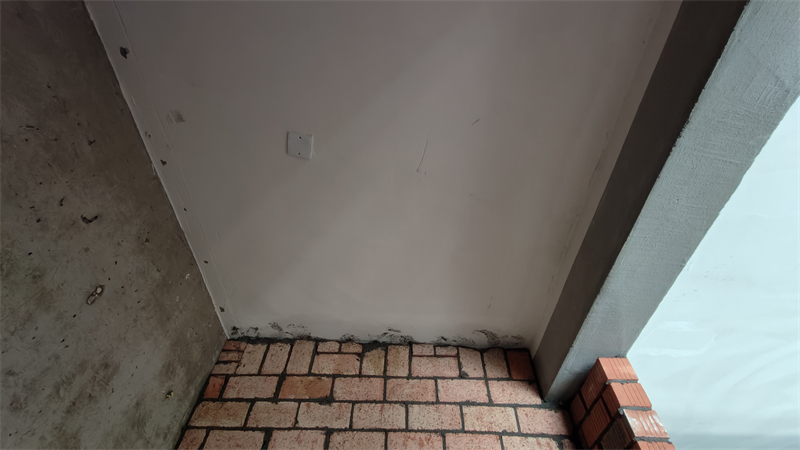 IMG20241129125728.jpg