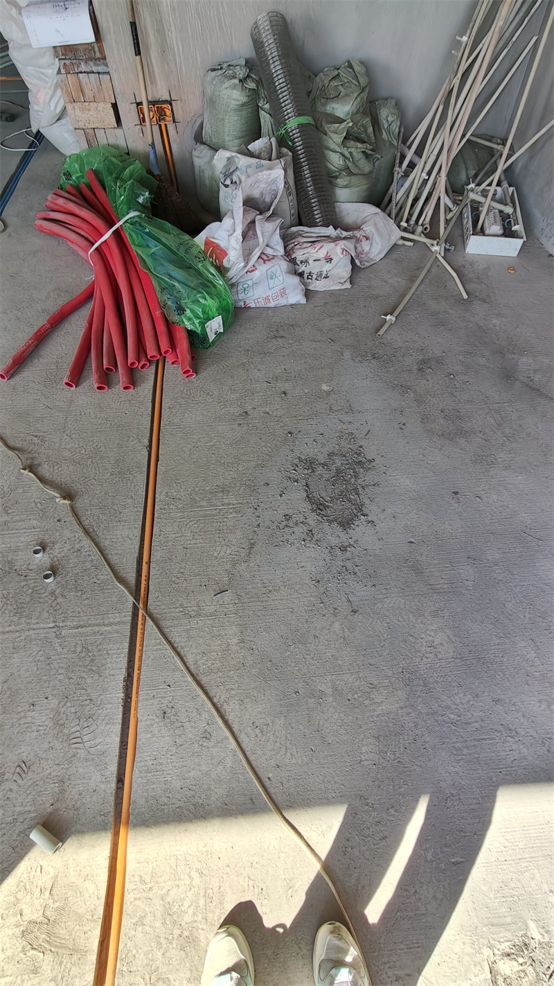 IMG20241130131032.jpg