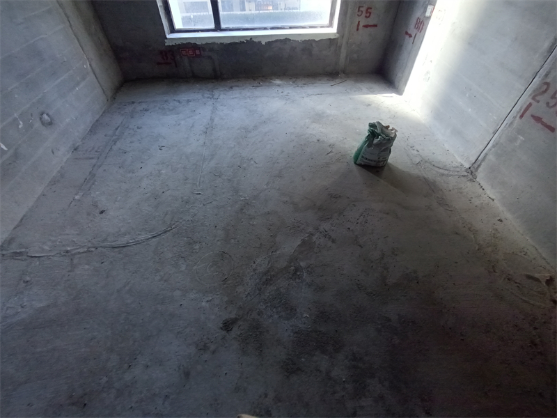 IMG_20241130_092151.jpg