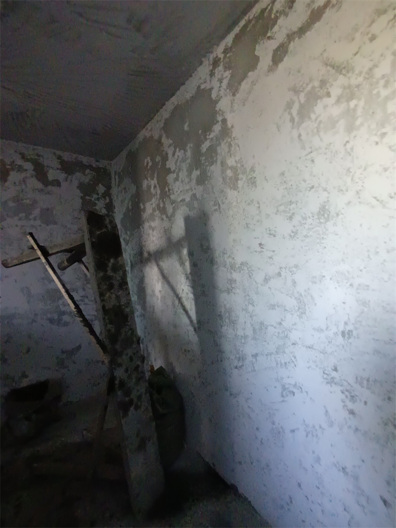 IMG_20241130_145851.jpg