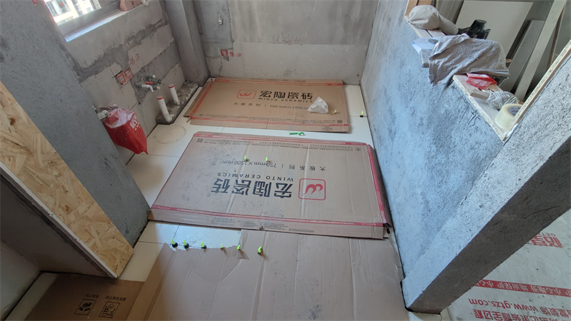 IMG20241130142211.jpg