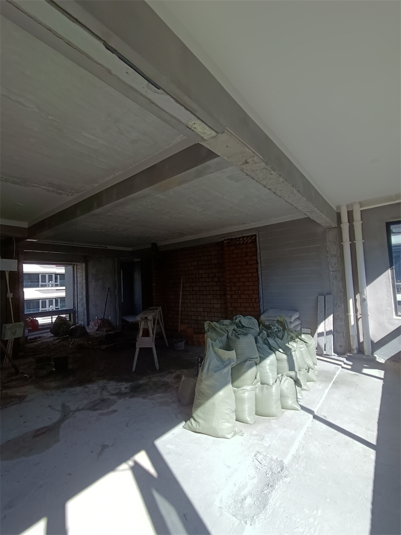 IMG_20241130_121026.jpg