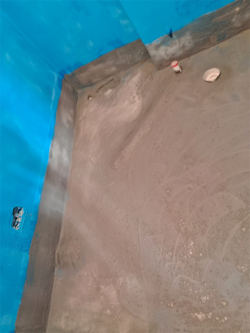 mmexport1733042976478.jpg