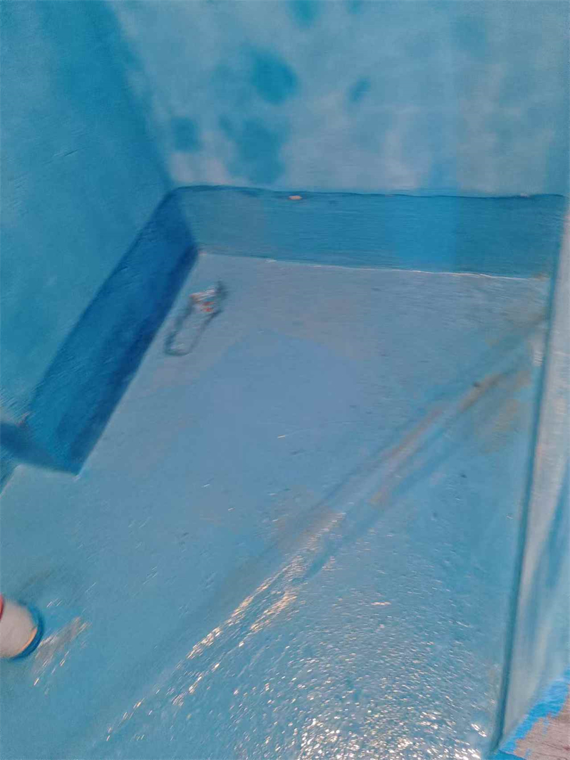 mmexport1733042999540.jpg