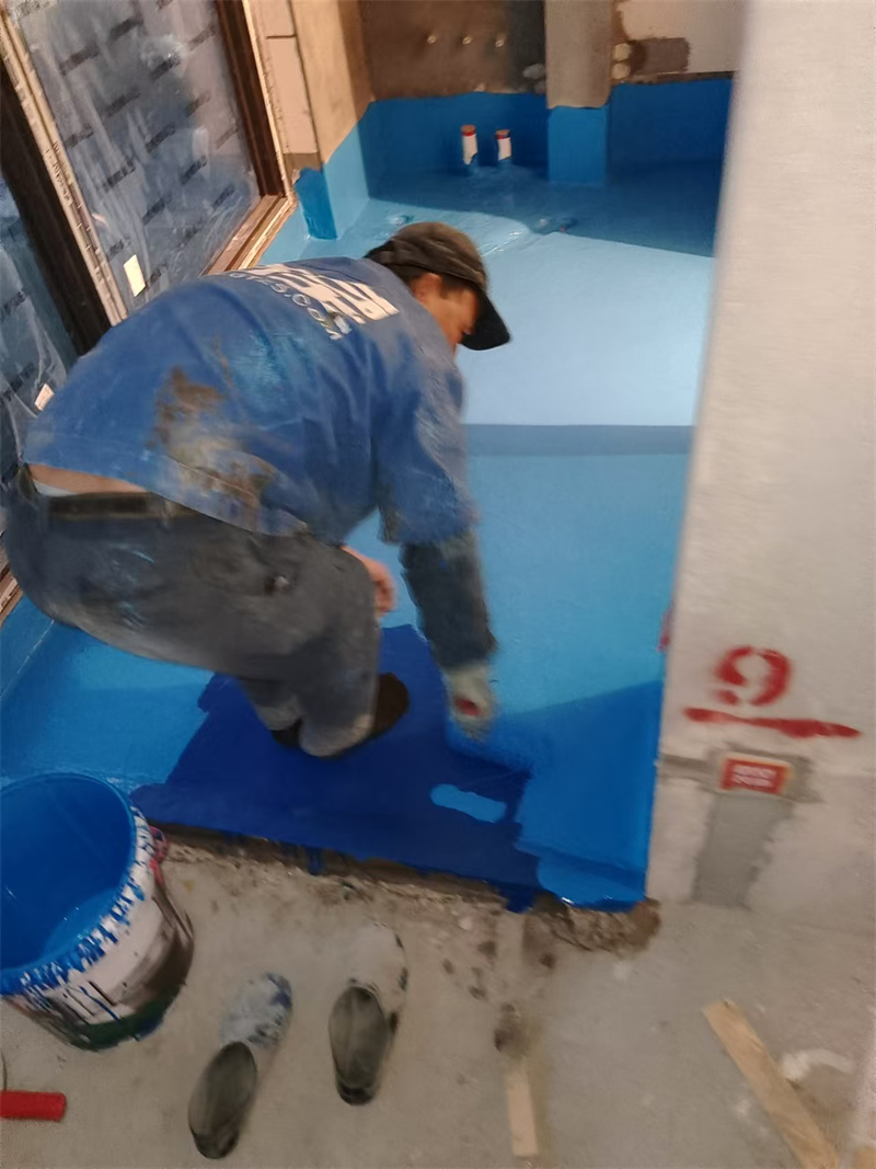 mmexport1733043004370.jpg