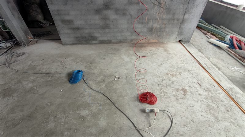 IMG20241203135032.jpg