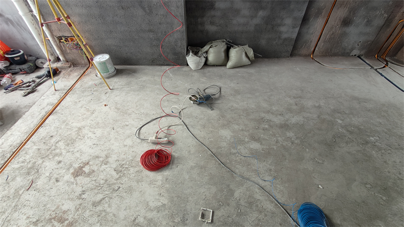 IMG20241203135050.jpg
