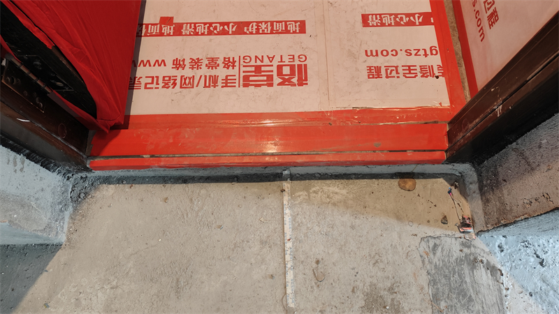 IMG20241203131258.jpg