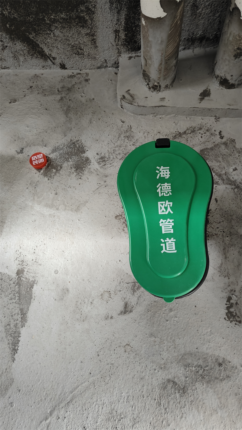 IMG20241203131407.jpg