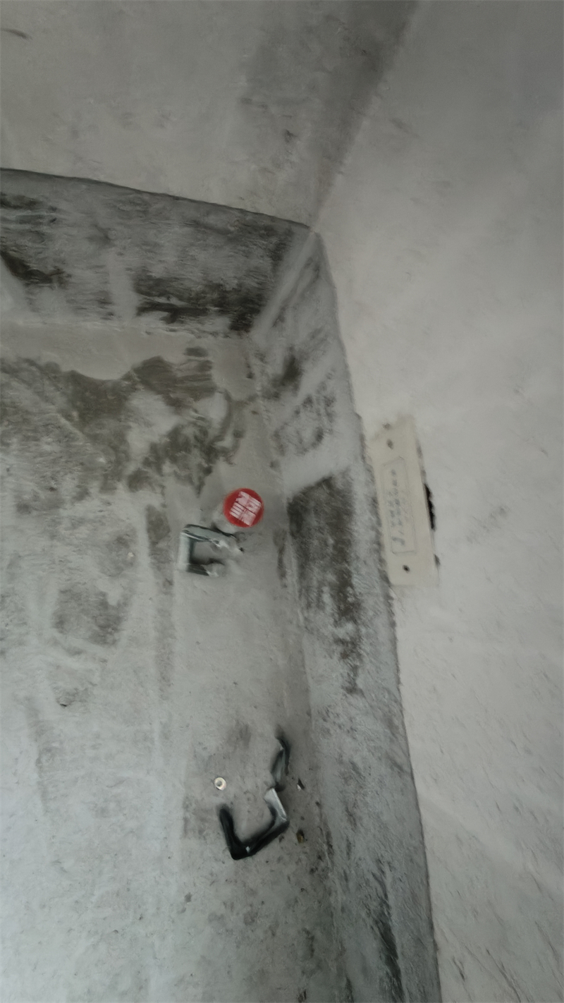 IMG20241203132709.jpg
