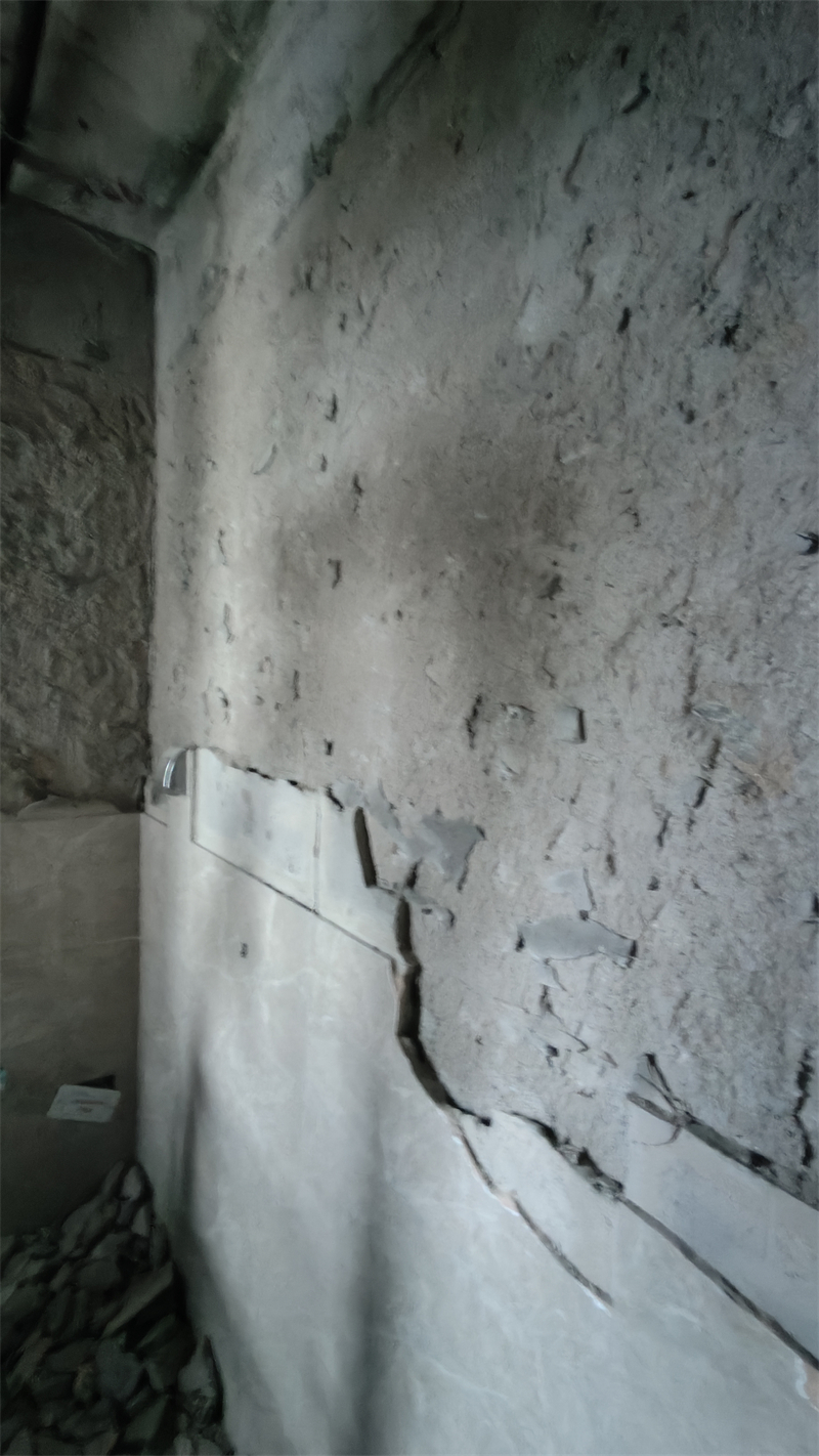 IMG20241205105120.jpg