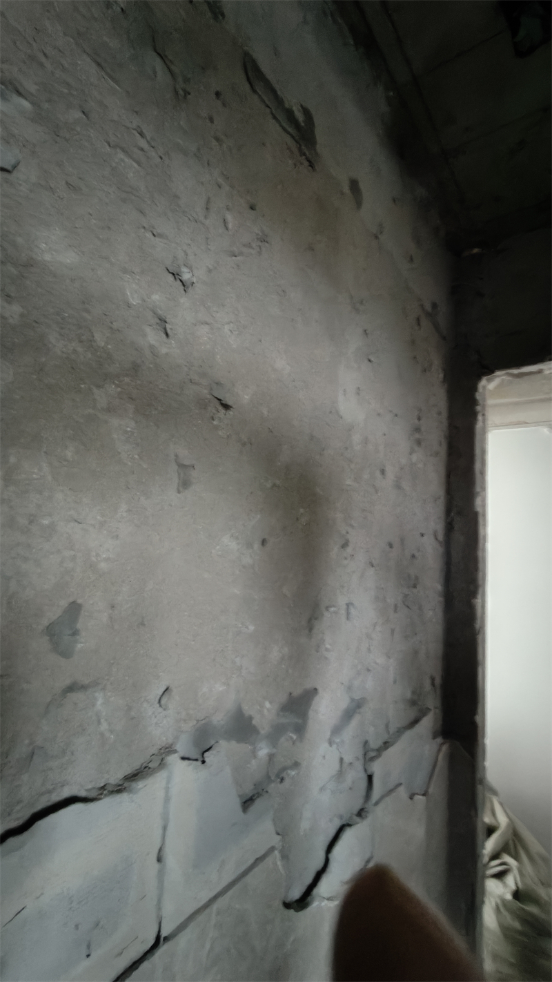 IMG20241205105149.jpg