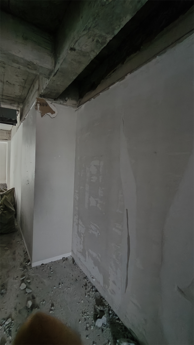 IMG20241205104123.jpg