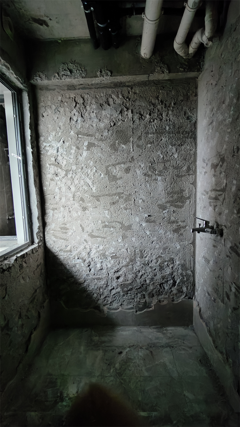 IMG20241205104150.jpg