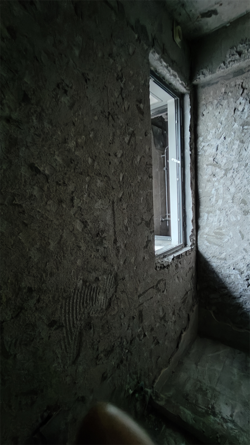 IMG20241205104147.jpg