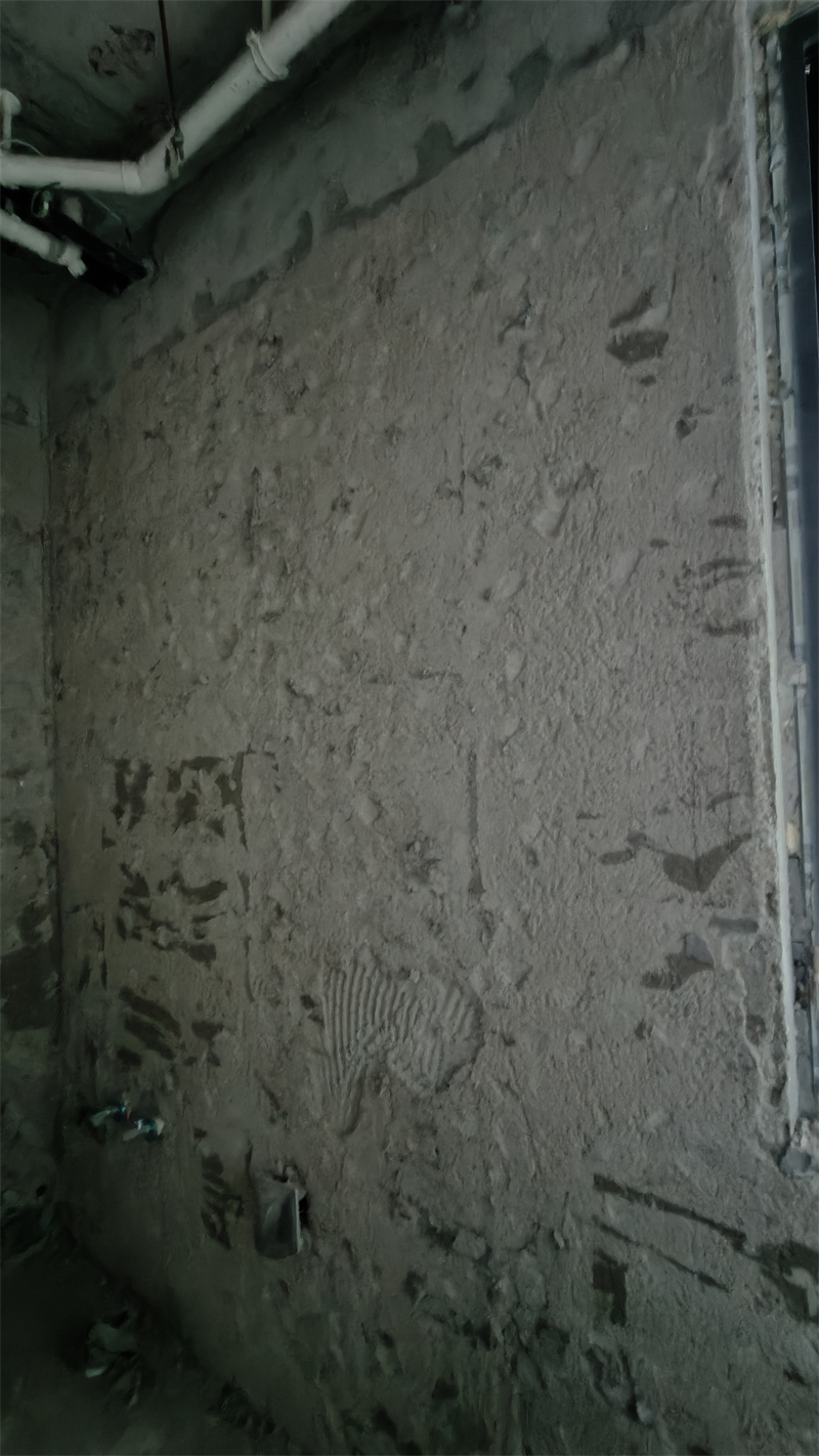IMG20241205104232.jpg