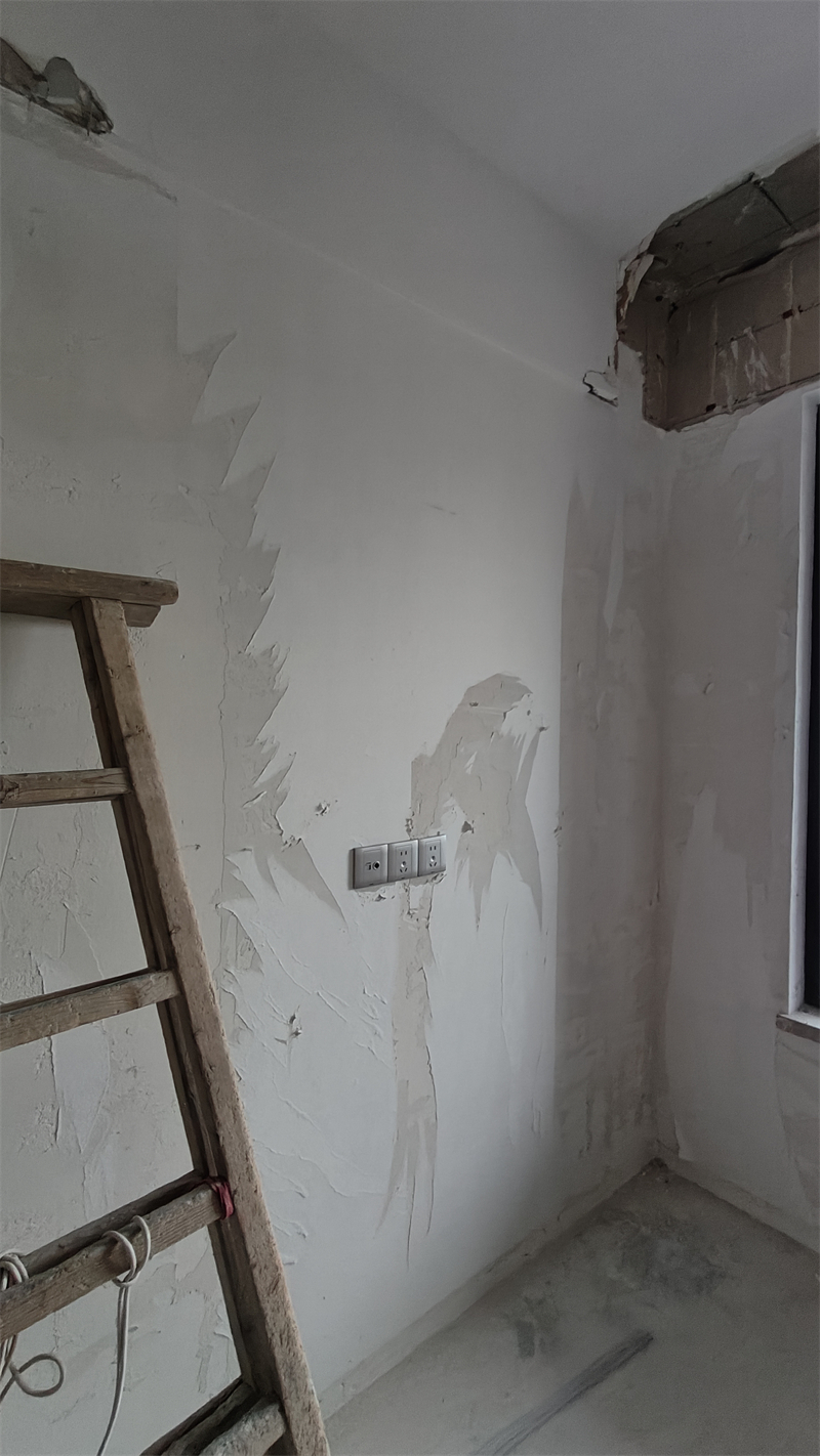 IMG20241205104300.jpg